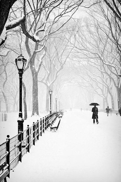 Central Park Cer Nocturn, Winters Tafereel, Winter Szenen, Winter Scenery, Greenwich Village, Snow Scenes, Snowy Day, Bendy And The Ink Machine, Winter Wonder