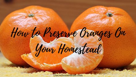 Preserve Oranges, Homestead Kitchen, Acre Homestead, Long Term Food Storage, Dehydrated Fruit, Homesteading Skills, Fruit Preserves, Emergency Food, Dehydrated Food