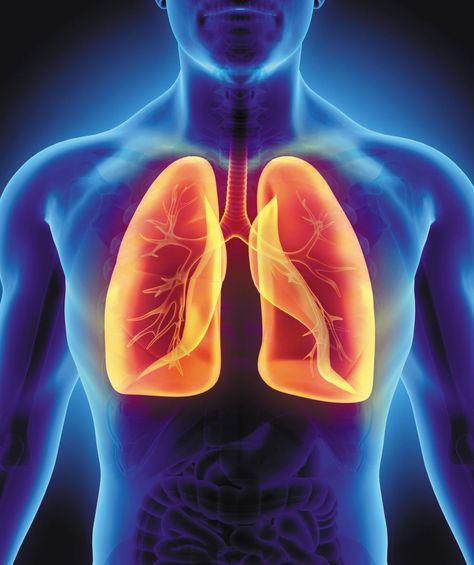 Laugh Till You Cry, Healthy Lungs, Chronic Obstructive Pulmonary Disease, Lungs Health, Pulmonary Disease, Lung Disease, Lungs, Respiratory, 3d Illustration