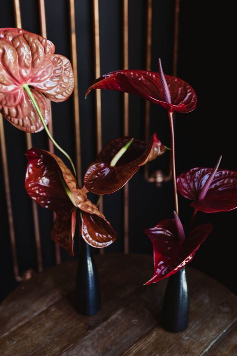 Amaranth Table Decor, Anthurium Flower Arrangement, Anthurium Arrangement, Anthurium Bouquet, Roaring 20s Birthday Party, Red Anthurium, Aisle Planner, Ghost Ranch, Anthurium Flower