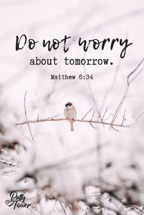 Don't worry about tomorrow. Matthew 6:34 - Jesus Quote - Christian Quote #jesusquote #christianquote -  Don't worry about tomorrow. Matthew 6:34  The post Don't worry about tomorrow. Matthew 6:34 appeared first on Gag Dad. Dont Worry About Tomorrow, Woord Van God, Do Not Worry, Beautiful Bible Verses, Ayat Alkitab, Motiverende Quotes, Inspirational Bible Quotes, Bible Verses Quotes Inspirational, Biblical Quotes