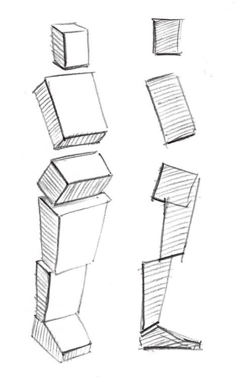 Box Reference, Geometric Shapes Drawing, Perspective Drawing Lessons, Character Artist, Anatomy Tutorial, Human Anatomy Drawing, Body Drawing Tutorial, Art Basics, Human Anatomy Art