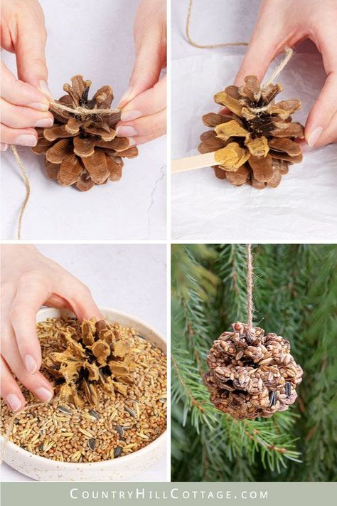 See how to make pinecone bird feeders! DIY pine cone bird feeders are a fun activity for all ages and help get your feathery friends well through winter. This easy tutorial shows how to make bird feeders with and without peanut butter and shares tips for hanging the pinecones safely. Peanut free alternatives are Crisco, suet, lard, vegetable shortening, or honey. This pinecone craft is an easy project for kids and preschool and makes a great homemade Christmas gift. | CountryHillCottage.com Diy Bird Seed Ornaments, Bird Seed Crafts, Diy Bird Seed, Pinecone Bird Feeder, Pine Cone Bird Feeders, Bird Feeders For Kids To Make, Seed Ornaments, Pine Cone Bird Feeder, Make A Bird Feeder