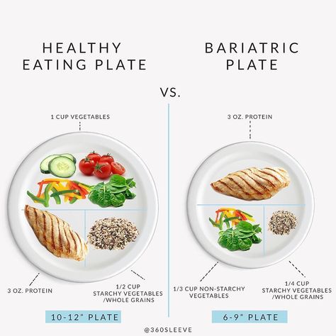 @360sleeve on Instagram: “How is a bariatric plate different from a typical healthy eating plate ? 1. Bariatric portion is smaller 2. Healthy eating plate-…” Bariatric Plate, Low Calorie Foods List, Small Plates Recipes, Bariatric Recipes Sleeve, Portion Plate, Healthy Eating Plate, Healthy Plate, Bariatric Eating, Protein Intake