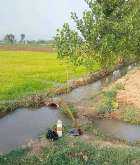 Nature Village Photography, Village Landscape Photography Nature, Haryana Culture, Drawing Images Easy, Village Snap, Agriculture Drawing, Village Images, Agriculture Tools, Punjab Culture