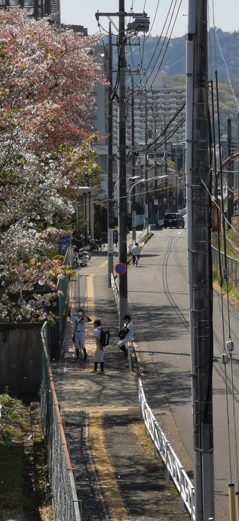 Tokyo School Aesthetic, Japanese Students Aesthetic, Japanese College Aesthetic, Japanese Vibes Aesthetic Wallpaper, Exchange Student Aesthetic Japan, School Aesthetic Japan, Japanese University Aesthetic, Japanese Highschoolers, Japanese Core Wallpaper