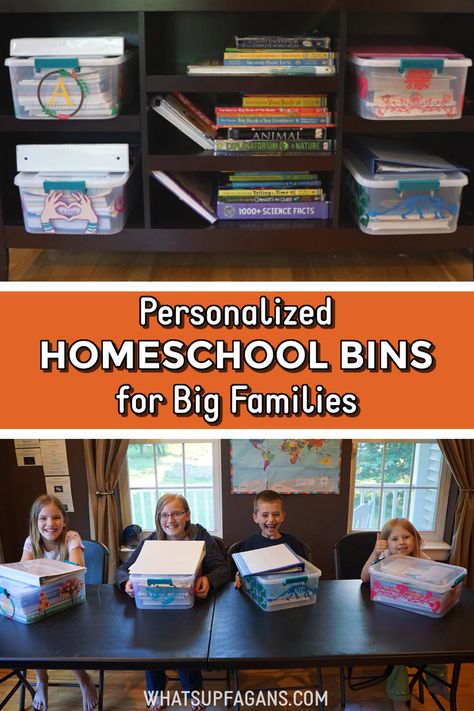 Homeschool Paper Organization, Home Schooling Organization Ideas, How To Organize Homeschool Curriculum, Organizing Homeschool Curriculum, Organizing Homeschool Supplies, Homeschool Curriculum Organization, Homeschool Book Organization, Homeschool Supplies Organization, Homeschool Organization Storage