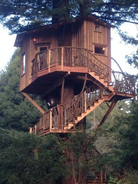 Arcata Redwood Treehouse is listed (or ranked) 7 on the list The Coolest Treehouses in the World Beautiful Tree Houses, Treehouse Masters, Crooked Tree, Building A Treehouse, Cool Tree Houses, Tree House Designs, Diy Holz, House Built, Beautiful Tree