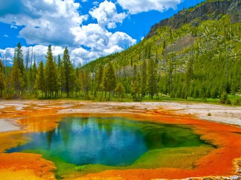 Yellowstone National Park, located mostly in the Wyoming province in the U.S (96%; Montana has 3% and Idaho has 1%), is the world’s first national park.  Read more: http://www.mapsofworld.com/travel/blog/facts/facts-about-yellowstone-national-park#ixzz2hff91mgx Visit Yellowstone, Family Vacation Spots, Yellowstone Park, Camping Destinations, Pamukkale, National Parks Usa, Camping Locations, Camping Spots, Las Vegas Strip