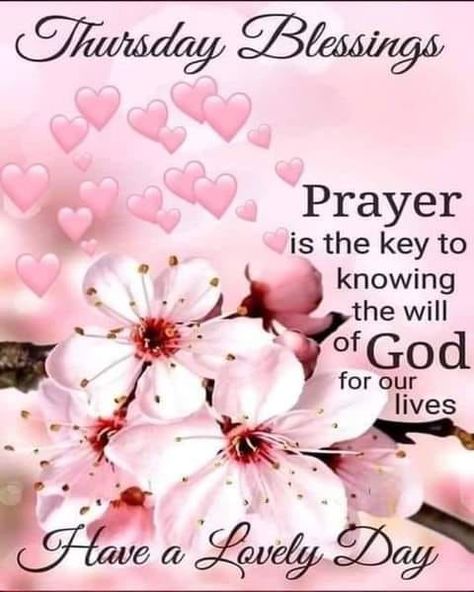 Prayer is the key to knowing the will of God for our lives. Thursday Blessings quotes thursday thursday blessings thursday quotes and sayings thursday quotes 2022 thursday blessings 2022 Thursday Prayer, Happy Easter Pictures, Thursday Blessings, Morning Scripture, Good Morning Happy Thursday, Peace Scripture, Good Morning Thursday, The Will Of God, Uplifting Bible Verses