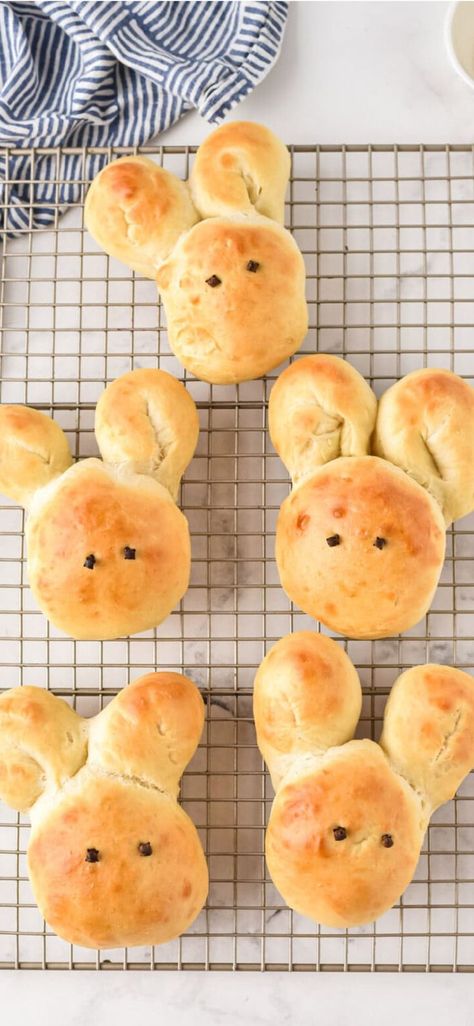 Bunny rolls baked to a golden brown and enjoyed warm and steamy with a pat of butter. Can you think of a cuter recipe to incorporate into your Easter dinner? #amandascookin #rollrecipes #easterrecipes Rolls For Easter, Easter Rolls, Bunny Rolls, Dinner Spread, Bunny Bread, Bread Dough Recipe, Bread Buns, Family Friendly Dinners, Dinner Rolls Recipe