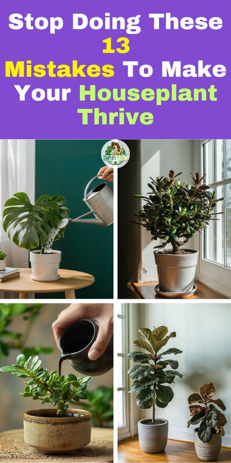 Discover how to make your houseplants thrive by avoiding these 13 common  indoor plant problems! From indoor plant leaf problems to other typical  indoor plant issues, learn the mistakes that can hinder your plants' growth  and health. Say goodbye to wilting leaves and hello to vibrant greenery.  Perfect for plant enthusiasts facing indoor plant problems! Humidity Plants, Plant Racks, Planting Hacks, Plant Jungle, Indoor Planting, Low Light House Plants, Air Cleaning Plants, Houseplant Care, Household Plants