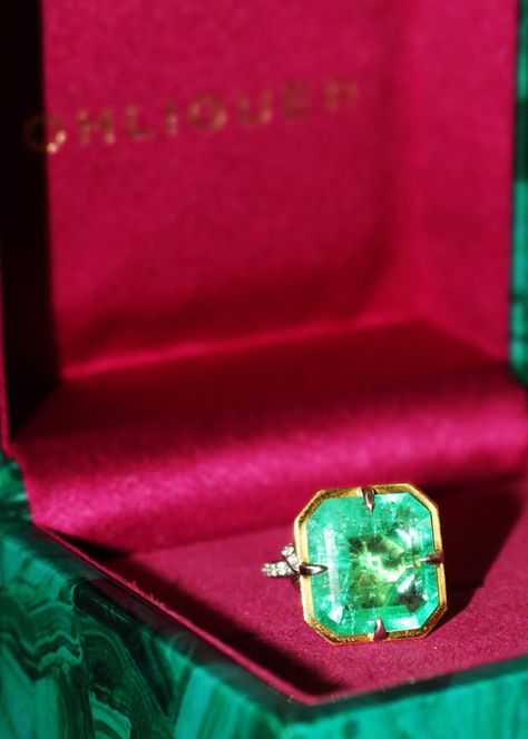 If it’s not OHLIGUER I don’t want it. OHLIGUER #caviar #croc #emerald #emeraldring #onyxring #rubelitering #ohliguer #emeraldcut #emeraldsolitaire #rubyring #emeraldring #emeraldcocktailring #statementring #engagementring #dragonjewels #dragonring #jeweladdict Columbian Emeralds, Dragon Ring, Dream Engagement, Dream Engagement Rings, Knot Ring, View Video, Onyx Ring, Ruby Ring, Cuff Earrings