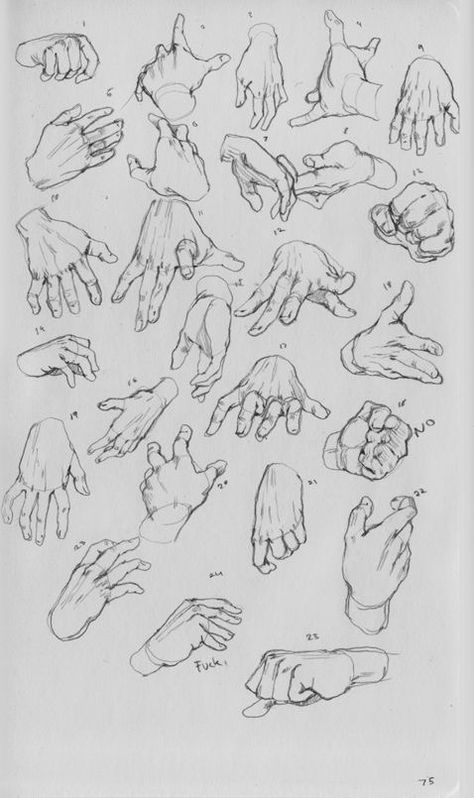 Hand Studies, Tre Kunst, Personaje Fantasy, Desen Realist, Výtvarné Reference, Human Anatomy Drawing, Hand Drawing Reference, Human Anatomy Art, Anatomy Sketches