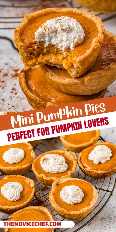 Everyone loves mini desserts! Bite-sized desserts, like these Mini Pumpkin Pies, are fun to make and so easy to serve. They are a great dessert for any holiday gathering. They have the traditional pumpkin pie filling that you love with a buttery and sweet crust. Mini Pies With Premade Crust, What To Do With Left Over Pumpkin Pie Filling, Pumpkin Tarts Mini, Pumpkin Pie Mini, Pumpkin Pie Tarts, Pumpkin Tarts Recipe, Tarts Mini, Mini Pumpkin Pies Recipe, Dessert For A Crowd