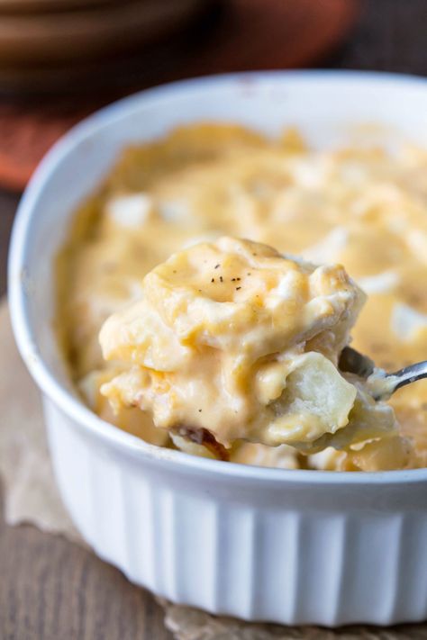 Cream Cheese Scalloped Potatoes are an easy, cheesy potato recipe! Perfect for holidays and weeknights - these potatoes make a great side dish! Scalloped Potatoes With Cream, Recipes With Cream Cheese, Cheese Scalloped Potatoes, Creamy Scalloped Potatoes, Cream Cheese Potatoes, Scalloped Potato, Cheesy Potatoes Recipe, Scalloped Potatoes And Ham, Scalloped Potato Recipes