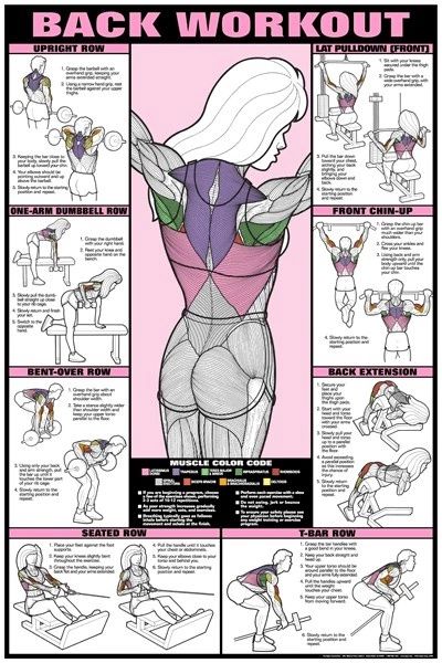 Workout Posters, Yoga Equipment, Trening Fitness, Formda Kal, Body Fitness, Diet Keto, Motivation Fitness, Back Exercises, Back Workout