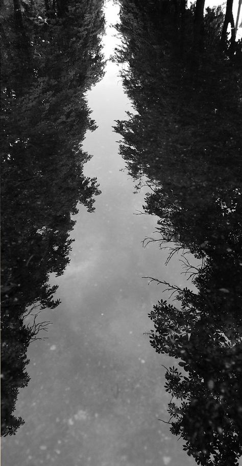 Puddles After Rain by Yuri Polchenko, via Behance After Rain Aesthetic, After Rain Photography, Aesthetic Wallpaper Rain, Moms Aesthetic, Rain Core, Sweet Shots, Dark Academia Aesthetic Wallpaper, Academia Aesthetic Wallpaper, Foggy Weather