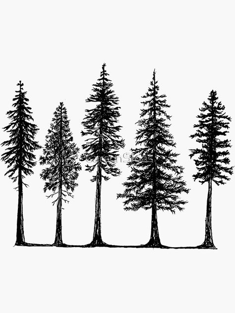 "Pines" Sticker by CarsonSloas | Redbubble Natur Tattoo Arm, Tree Silhouette Tattoo, Pine Tattoo, Tree Tattoo Arm, Pine Tree Drawing, Pine Tree Silhouette, Tree Outline, Forest Drawing, Pine Tree Tattoo