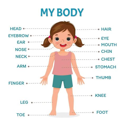 Body Parts For Kids, Text Label, Body Chart, Medical Student Study, Chart For Kids, Human Body Parts, Girl Illustration, Charts For Kids, Illustration Poster