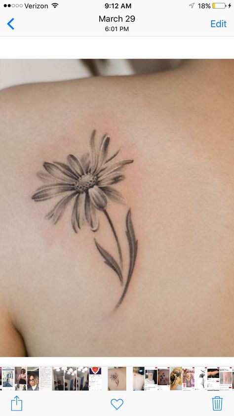 Daisy Back Tattoo, Daisy Tattoo On Shoulder, Unique Daisy Tattoo, Blue Daisy Tattoo, Daisy Flower Tattoo Designs, Gerber Daisy Tattoo, Gerbera Daisy Tattoo, Daisy Flower Tattoo, Daisy Tattoos