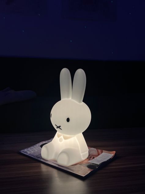 Aesthetic Rabbit, Miffy Wallpaper, Lamp For Nursery, Miffy Lamp, Kawaii Squishy, Gifts For Baby, White Bunny, Lamp Lighting, Holiday House