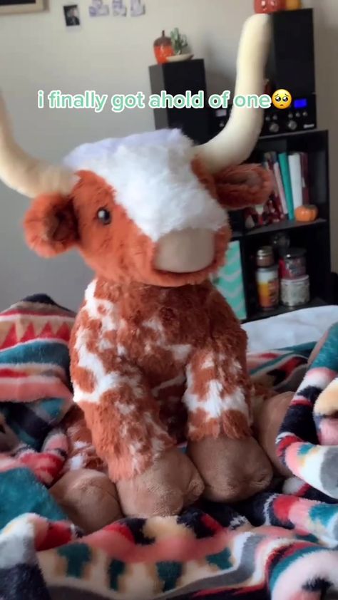 Build A Bear Longhorn Cow, Build A Bear Highland Cow, Build A Bear Longhorn, Build A Bear Date, Christmas Sweet 16, Fat Animals, Indie Decor, Build A Bear Outfits, Funny Spanish Jokes