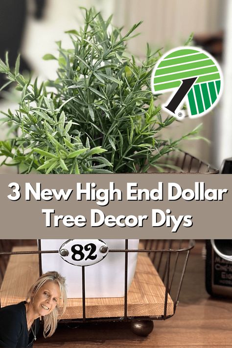 Home Decor Dollar Tree Home Decor Ideas, High End Decor, Dollar Tree Home Decor, High End Home Decor, Cheap Living Room Decor, High End Home, Dollar Tree Haul, Dollar Tree Hacks, Tree Craft