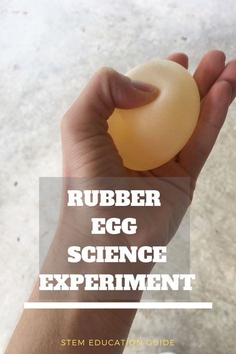 Rubber Egg Experiment Science Projects, Disappearing Egg Shell Experiment, Rubber Egg Experiment, Egg Science Experiment For Kids, Ball Art Preschool, Egg Experiments For Kids, Eggs Experiment, Chemical Reaction Experiments, Rainbow Stem