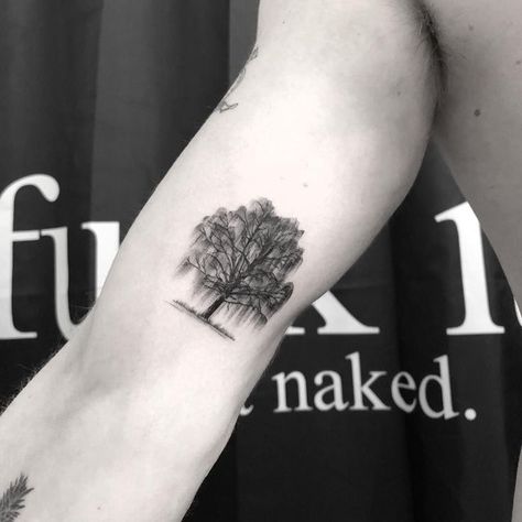 Willow Tree Tattoo Meaning: A Symbolic Expression of Nature's Resilience and Grace Willow Tree Butterfly Tattoo, Savannah Georgia Tattoo Ideas, Willow Tree Tattoo Men, Weeping Willow Tattoo Small, Weeping Willow Tattoo, Willow Tattoo, Willow Tree Tattoo, Tree Tattoo Meaning, Tree Tattoo Arm