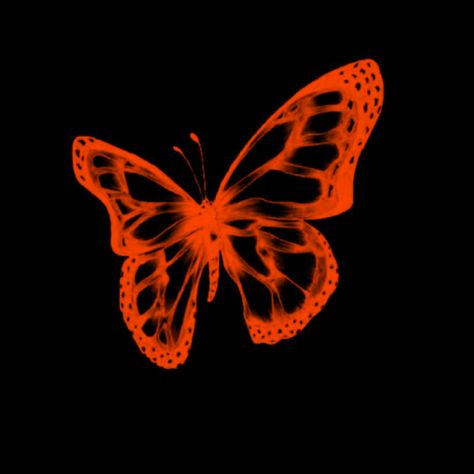 Orange Aesthetic Butterfly, Black And Orange App Icons, Butterfly Black Background, Orange Widget, Orange App Icons, Orange Wallpapers, Widget Pictures, Phone Setup, Phone Widget