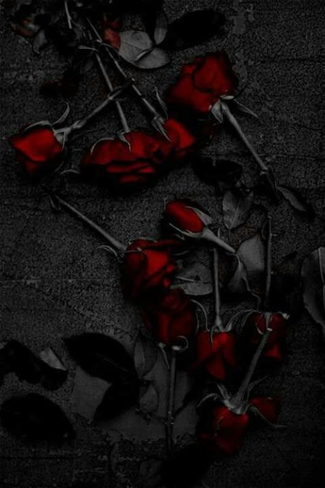 . Rose Flower Aesthetic Dark, Wallpaper Mawar, 일본 패션, Gothic Rose, Wallpaper Flowers, Rosé Aesthetic, Dark Flowers, Tapeta Pro Iphone, Bedroom Posters