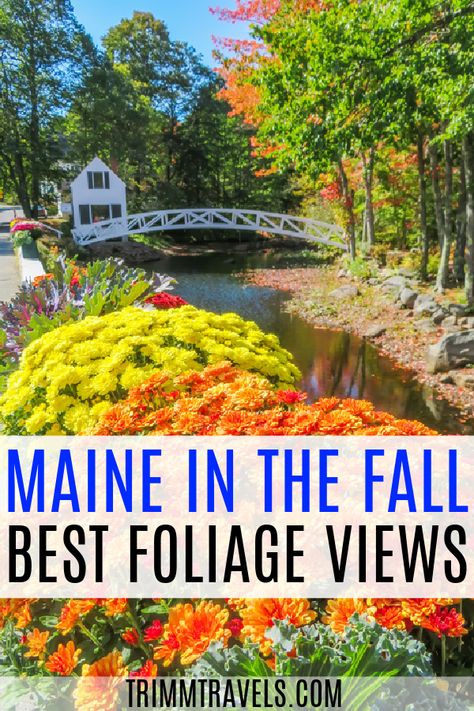 Maine Fall, Maine In The Fall, Maine Road Trip, Visit Maine, New England Road Trip, Fall Road Trip, Maine Vacation, Maine Travel, New England Travel