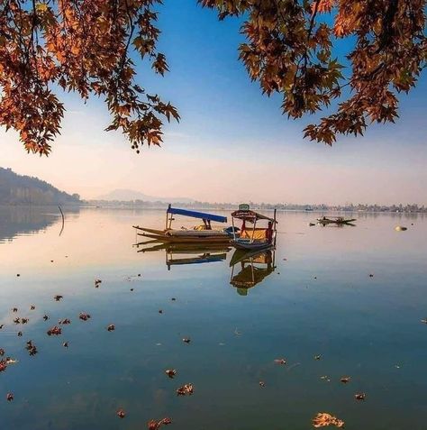 #chill #love #relax #musi#summer #nature #mood #fun #photography #photooftheday #goodvibes Kashmir Tourism, Kashmir India, Srinagar, Jammu And Kashmir, Beautiful Images Nature, Paradise On Earth, Beautiful Places Nature, Famous Places, Incredible India