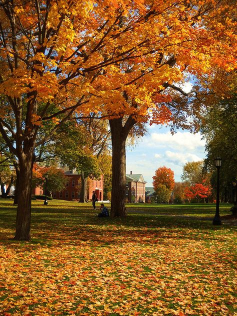 September Season, Tufts University, October Country, Autumn Scenes, Fotografi Alam Semula Jadi, Autumn Scenery, Autumn Beauty, Fall Pictures, Best Seasons