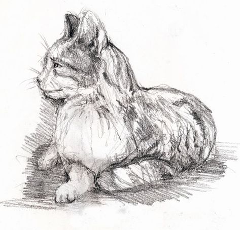 Cat Sketch, Sketch Pad, Mechanical Pencil, Mechanical Pencils, Pen Drawing, Pencil Sketch, Pencil Art, Pencil Drawing, Cat Art