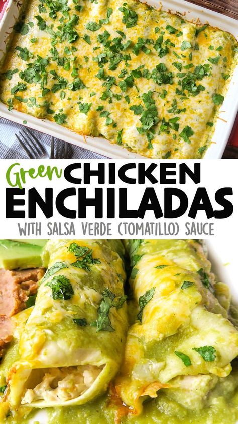 Creamy Chicken Enchiladas Verde, Chicken Chili Verde Enchiladas, Green Turkey Enchiladas, Green Enchiladas With Cream Cheese, Green Cream Cheese Enchiladas, Tomatillo Chicken Recipes, How To Make Enchiladas Shredded Chicken, Oven Enchiladas Chicken, Tomatillo Recipes Chicken