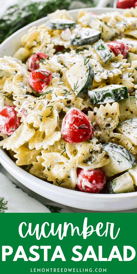 Switch up your side dish game with this creamy Cucumber Pasta Salad! Loaded with garden cucumbers, fresh tomatoes, and a creamy lemon dill dressing, it's the perfect side salad for all your summer meals! Noodle Cucumber Salad, Pasta With Salad Dressing, Cucumber Salad With Noodles, Cucumber Tomato Pasta Salad Recipe, Cucumber Tomato Feta Pasta Salad, Dill Cucumber Pasta Salad, Tomato And Cucumber Pasta Salad, Easy Tomato Side Dish, Poolside Pasta Salad