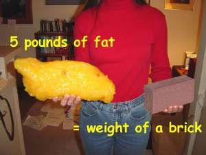 5lb-fat-brick http://luannhoskins.myplexusproducts.com/ 5 Lbs Of Fat, Lose 5 Pounds, Lose 15 Pounds, Pound Of Fat, Lose 30 Pounds, Lose Pounds, Fat Loss Diet, Small Meals, Calorie Intake