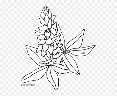 Bluebonnet Coloring Page, Bluebonnet Stencil, Bluebonnet Stained Glass Pattern, Texas State Flower Tattoo, Blue Bonnet Drawing, Bluebonnet Decor, Bluebonnet Drawing, Texas Drawings, Bluebonnet Tattoo