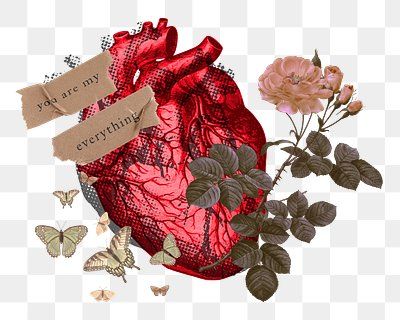 Human Heart Png, Sticker Transparent Background, Heart Organ, About Butterfly, Butterfly And Flowers, Flowers Heart, About Heart, Sticker Transparent, Heart Vintage