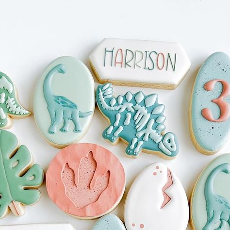 Kelsey Fuhrmann on Instagram: "Harrison: D I N O 🦖 E X P L O R E R
.
.
.
#dinosaur #dinosaurs #dinosaurcookies #threerexparty #threerexcookies #thirdbirthday #thirdbirthdayparty #dinosaurbirthday #dinosaurbirthdaycookies #mncookier #cookiersofinstagram" Dinosaur Party Cookies, Dinosaur Cookies Decorated, Dinosaur Birthday Cookies, Dinosaur Sugar Cookies, Dino Cookies, Dinosaur Cookie, Taste Food, Dinosaur Cookies, Party Hardy