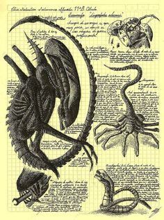 Run alien Giger Alien, Giger Art, Alien Artwork, Foto Langka, Arte Alien, Aliens Movie, Alien Concept, Alien Vs Predator, Alien Concept Art