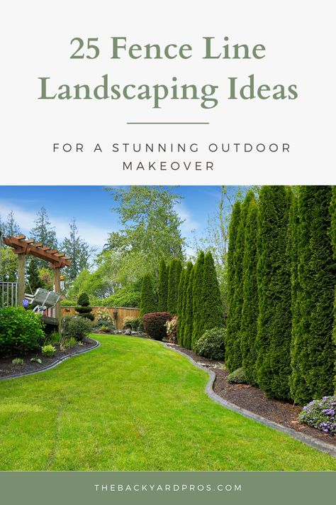 Landscape Backyard Fenceline, Landscape For Fence Line, Trees On Fence Line, Landscape Ideas With Arborvitae, Cedars Along Fence, Tree Lined Property Line, Landscaping For Large Yards, Acreage Front Yard Landscaping, Landscape Trees Backyard