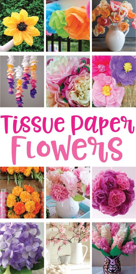 12 tissue paper flowers Tissue Paper Flowers Easy, Tissue Paper Decorations, Paper Flowers Diy Easy, Tissue Paper Flowers Diy, Tissue Paper Crafts, Tissue Flowers, Fleurs Diy, Easy Paper Flowers, Paper Flower Decor