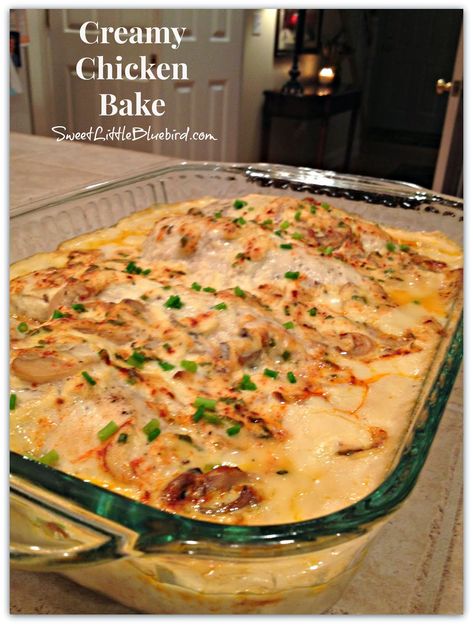 Creamy Chicken Bake - Family favorite and One of my most Popular recipes! Creamy Chicken Bake, Ranch Wraps, Magic Chicken, Moms Kitchen, Chicken Ranch, Chicken Tetrazzini, Chicken Wrap, Chicken Bake, Perfect Chicken