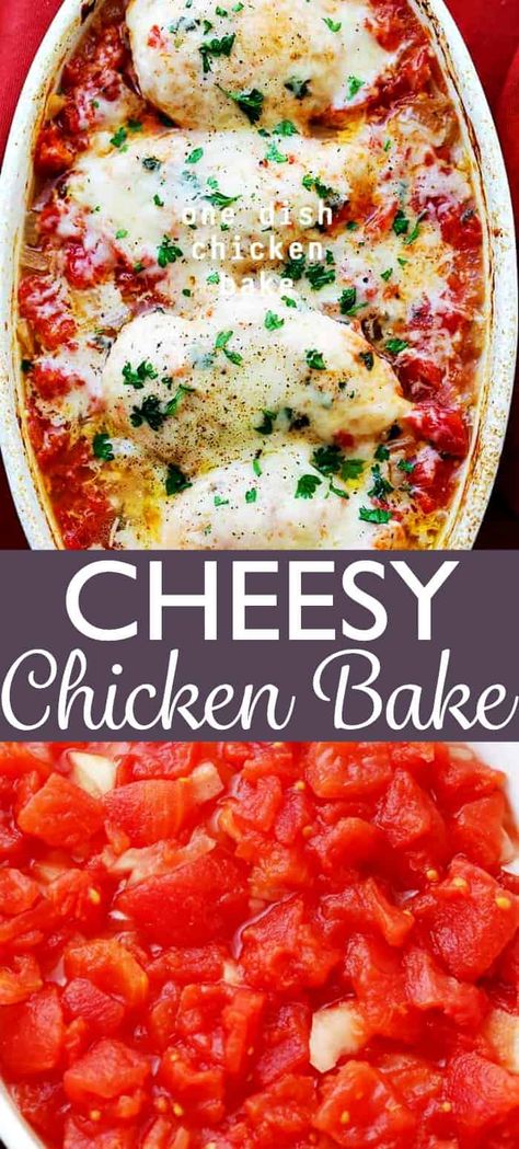 One Dish Chicken Bake - Flavorful chicken baked on a bed of tomatoes and covered in cheese makes for a one-dish dinner the whole family will enjoy. #chickenrecipes #lowcarbdinner #healthyrecipes One Dish Chicken Bake, Cheesy Chicken Bake, One Dish Chicken, Canned Tomato Recipes, Recipes With Diced Tomatoes, Chicken Bakes, Chicken Baked, One Dish Dinners, Chicken Bake