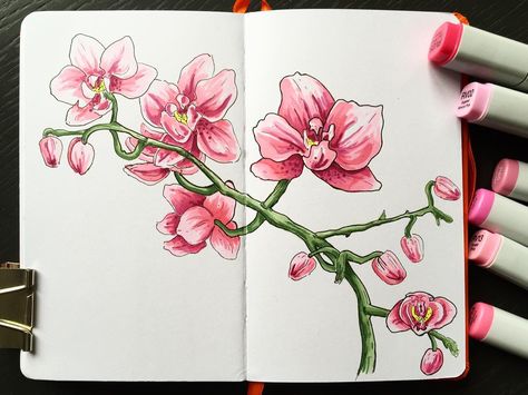 Little pink orchid Marker Drawing Flowers, Marker Kunst, Orchid Drawing, Copic Drawings, Markers Drawing Ideas, Copic Marker Art, Copic Art, Flowers Drawing, Copic Sketch