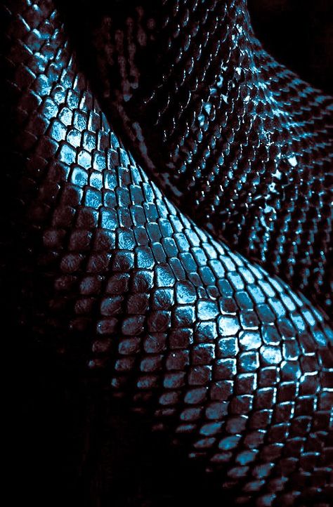 Black Scales Aesthetic, Snake Asthetic Picture, Snake Scales Aesthetic, Sea Serpent Aesthetic, Snake Skin Aesthetic, Black Snake Aesthetic, Serpent Aesthetic, Snake Skin Wallpaper, Tbr Bookshelf