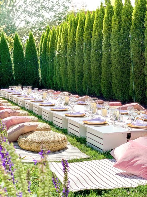 Glam Picnic, Bridal Picnic, Shower Goals, Outdoor Picnic Party, Picnic Event, Birthday Setup, Planning Party, Indoor Picnic, Picnic Birthday Party